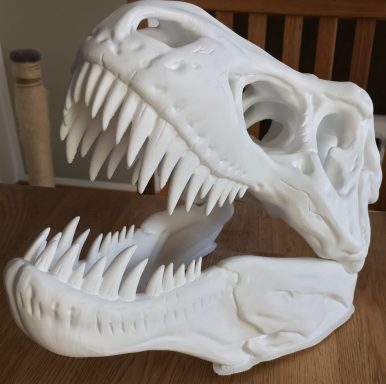 3D-gedrucktes T-Rex Schädelmodell
